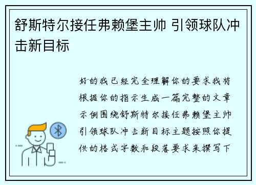舒斯特尔接任弗赖堡主帅 引领球队冲击新目标